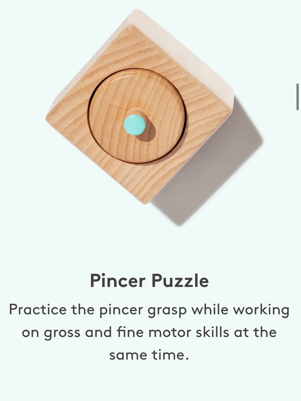 Lovevery Pincer Puzzle from The Thinker Play Kit- 11-12+ months